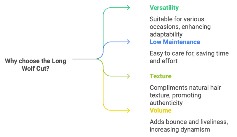 Why choose the Long Wolf Cut?